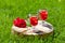 Two glass glasses with cherry and water stand on a wooden stand with a crack and a flower on a green lawn