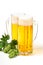 Two glass mugs with transparent beer with bubbles and sprig of hops stand on a white table