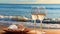 Two glass of wine rest upon the sandy beach, accompanied by a seashell. A serene scene brought to life. Generative AI.