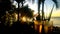 Two glasses of beer are seen as the sun sets over Fitzroy Island