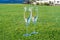 Two glasses with  bubbles white champagne or cava wine served on green golf club grass with mountains view during golf competition