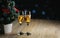 Two Glasses of Champagne Beside Small Christmas Tree Dark Glow L