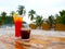Two glasses of the cold cola and lemon tea on sea beach background