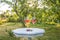 Two glasses of pink wine and cherries on the beautiful white table in the blooming garden