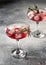 Two glasses of Pomegranate iced cocktail with rosemary on gray textured background isolated close up. Xmas or