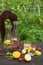 Two glasses and two bottles with drink of mint and berries