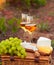 Two glasses white wine, various sorts of cheese and grapes on th