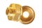 Two glossy brass fittings golden color with thread for connecting different diameter pipeline for oil, petrol, gas