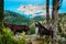 Two goats animal standing under cypress trees against amazing mountainous landscape of Assos in Greece. Greek