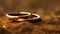 Two gold wedding rings lie on the dusty ground. Lost jewelry lies on the dirty brown ground. Generated AI.