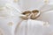 Two gold wedding rings on a pillow