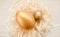 Two golden easter eggs in white nest decoration