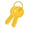 Two Golden Keys Flat Icon Isolated on White