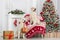 two golden retriever dogs posing indoors for Christmas