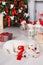 Two golden retriever puppies near christmas tree with gifts.