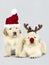 Two Golden Retriever puppies wearing a Santa hats and reindeer headband