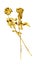 Two golden rose flowers on white background isolated close up, two long stem gold roses, shiny yellow metal flower bouquet, decor