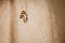 Two golden wedding rings hanging on a ribbon, isolated on blurred background with light glares