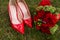 Two golden wedding rings lie on red fashion female shoes on green grass. Wedding