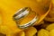 Two golden wedding rings white gold laying in the Bridal Bouquet on beautiful orange margherita flower background.