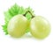 Two grapes with small leaf.