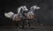 Two gray arabian horses gallop on dark background