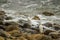 Two great white heron birds walking across the rocks with ocean waves crashing against the rocks at Bluff Cove beach