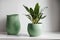 Two green ceramic vases with green leaves on white shelf against white wall