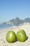 Two Green Coconuts Ipanema Beach Rio Brazil