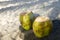 Two Green Coconuts on Rustic Wood Table