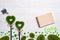 Two green grassy hearts, notebook and watering can on a white wooden background