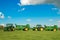 Two green John Deere tractors pulling bunning muck spreaders