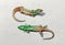 Two green lizards in watercolor