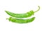 Two green long Cubanelle peppers