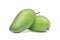 Two green mangoes fruit