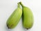Two Green Plantains