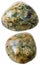 Two Green Rhyolite (Rainforest Jasper) gemstones