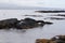 Two Green Sea Turtles resting on black volcanic rock near the shore at Leleiwi Beach Park in Hawaii