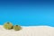 Two green sea urchin shells, white sand, blue background