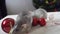 Two grey rats running on a table among Christmas decorations. New Year`s decor