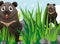 Two grizzly bears on grass
