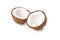 Two half coconut