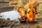 Two Halloween pumpkins are burning on the shore of the pond.