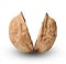 Two halves of chopped walnut. White isolated background. Close-up.