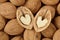 Two halves of heart shaped walnuts  - Concept of love