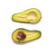 Two halves Ripe Avocado on white background