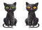 Two hand drawn cute black witch cats isolated on white background. Pencil drawing. Scary Halloween collection.