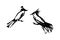 Two hand drawn simple stylized wild birds. Vector animal illustration, hand drawn graphic silhouettes painted by ink