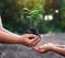 two hand holding small tree for planting. concept save world