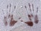 Two handprints of real hands marked into in the hoarfrost, fresh snow